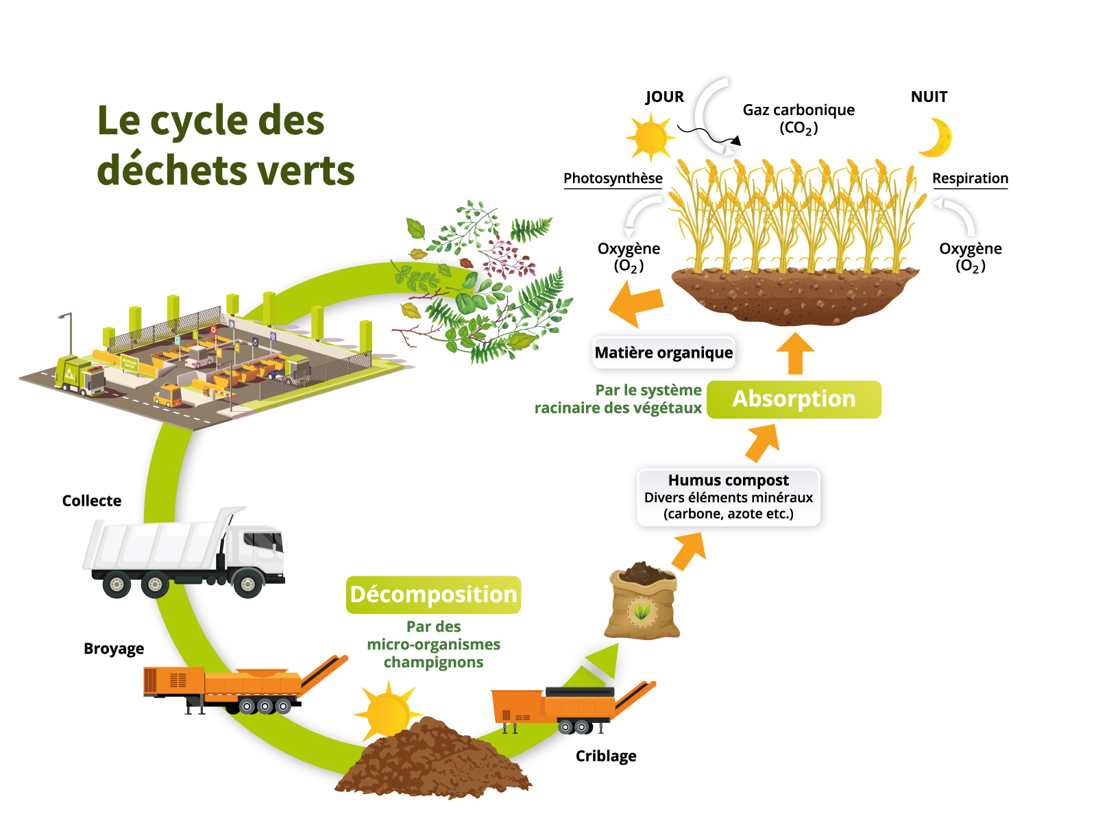 botanic® : compostage et recyclage des déchets verts